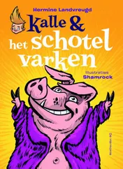 Omslag van Kalle en het schotelvarken