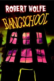Omslag van Bangschool