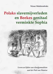 Omslag van Polaks slavernijverleden en Beekes genitaal verminkte Sophia
