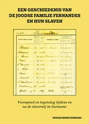 Omslag van Een geschiedenis van de Joodse familie Fernandes en hun slaven