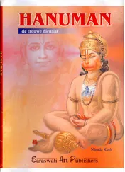 Omslag van Hanuman