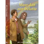 Omslag van Meer dan een belofte