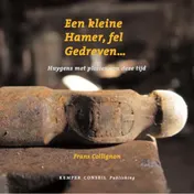 Omslag van Een kleine hamer, fel gedreven ...