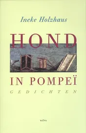 Omslag van Hond in Pompei