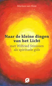 Omslag van Naar de 'kleine dingen van het licht'