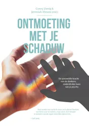 Omslag van Ontmoeting met je schaduw