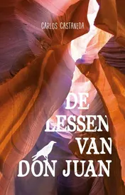 Omslag van De lessen van Don Juan