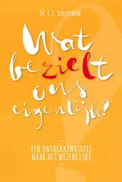 Omslag van Wat bezielt ons eigenlijk?