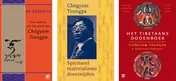 Omslag van De essentie van Tibetaans boeddhisme set