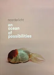 Omslag van An ocean of possibilities