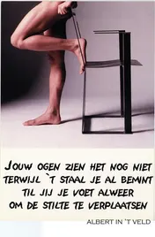 Omslag van Soms in de tijd loop ik naar voren