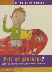 Omslag van Prik of pleister