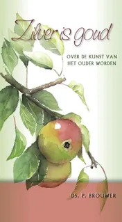 Omslag van Zilver is goud