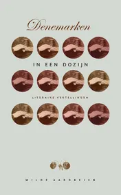 Omslag van DENEMARKEN IN EEN DOZIJN