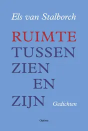 Omslag van Ruimte tussen zien en zijn