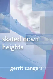 Omslag van Skated down heights