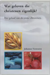 Omslag van Wat geloven die christenen eigenlijk