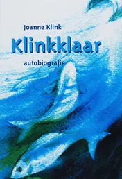 Omslag van Klinkklaar