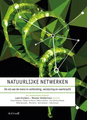 Omslag van Natuurlijke netwerken