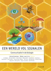 Omslag van Een wereld vol signalen