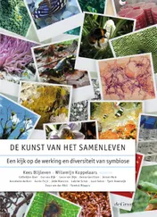 Omslag van De kunst van het samenleven