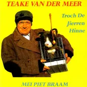 Omslag van Troch de jierren hinne