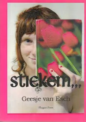 Omslag van Stiekem