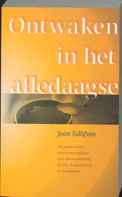 Omslag van Ontwaken in het alledaagse