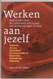 Omslag van Werken aan jezelf