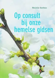 Omslag van Op consult bij onze hemelse gidsen