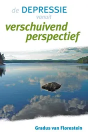 Omslag van De depressie vanuit verschuivend perspectief