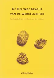 Omslag van De helende kracht van de werkelijkheid