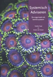 Omslag van Systemisch adviseren