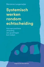 Omslag van Systemisch werken rondom echtscheiding