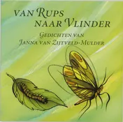 Omslag van Van rups naar vlinder