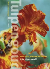 Omslag van Tulpengoud
