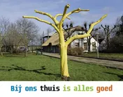 Omslag van Bij ons thuis is alles goed