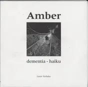 Omslag van Amber