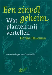 Omslag van Een zinvol geheim