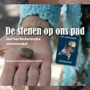 Omslag van De stenen op ons pad