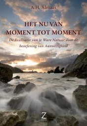 Omslag van Het Nu van moment tot moment