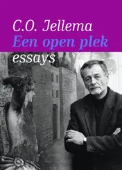 Omslag van Een open plek