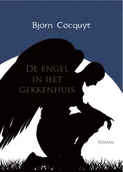 Omslag van De engel in het gekkenhuis