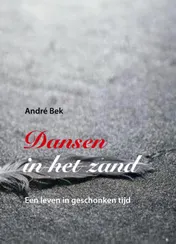 Omslag van Dansen in het zand