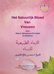 Omslag van Het natuurlijk bloed van vrouwen