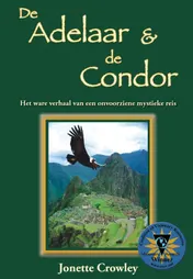 Omslag van De Adelaar & De Condor