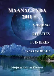 Omslag van 2011