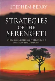 Omslag van Strategieën van de Serengeti