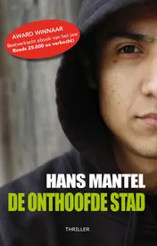 Omslag van De onthoofde stad