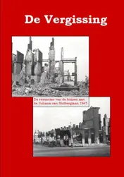 Omslag van De vergissing